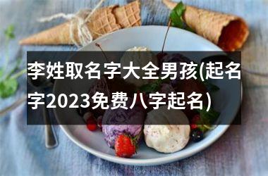 <h3>李姓取名字大全男孩(起名字2025免费八字起名)