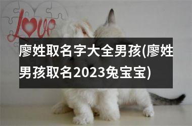 <h3>廖姓取名字大全男孩(廖姓男孩取名2025兔宝宝)