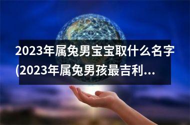 2025年属兔男宝宝取什么名字(2025年属兔男孩最吉利的名字)