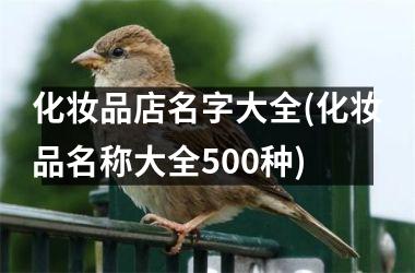 <h3>化妆品店名字大全(化妆品名称大全500种)