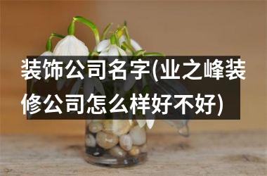 装饰公司名字(业之峰装修公司怎么样好不好)