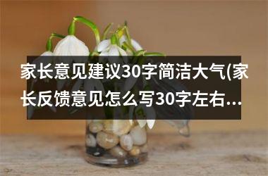 <h3>家长意见建议30字简洁大气(家长反馈意见怎么写30字左右)