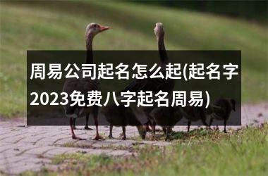 周易公司起名怎么起(起名字2025免费八字起名周易)