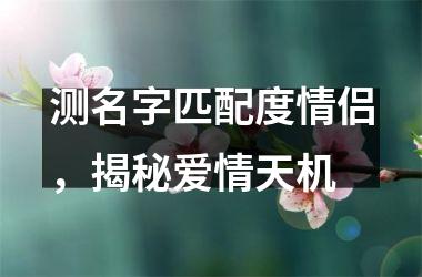 <h3>测名字匹配度情侣，揭秘爱情天机