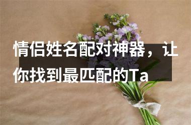 <h3>情侣姓名配对神器，让你找到匹配的Ta