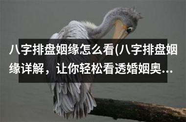 八字排盘姻缘怎么看(八字排盘姻缘详解，让你轻松看透婚姻奥秘！)