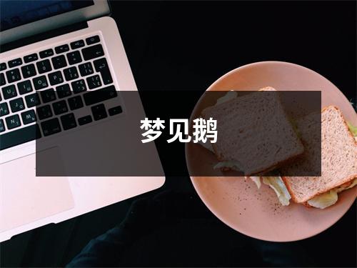<h3>梦见鹅