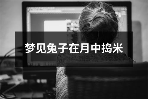 <h3>梦见兔子在月中捣米