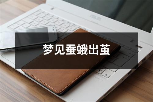 梦见蚕蛾出茧