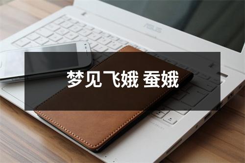 梦见飞娥蚕娥
