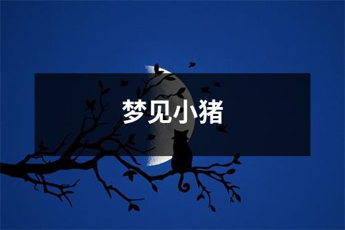 梦见小猪