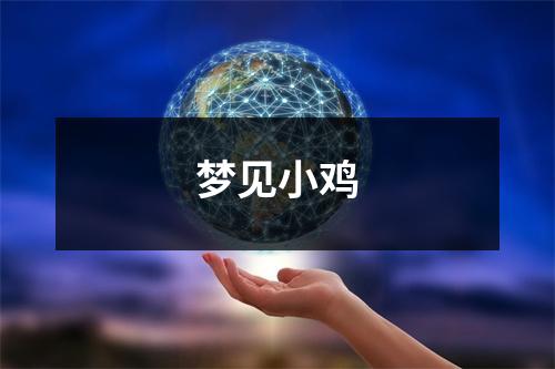 梦见小鸡