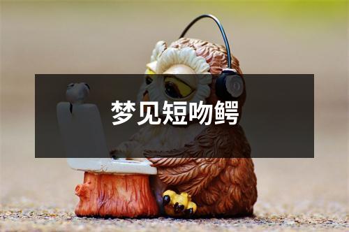 <h3>梦见短吻鳄