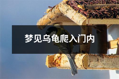 <h3>梦见乌龟爬入门内