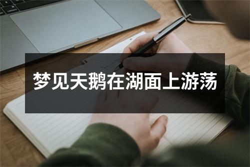 梦见天鹅在湖面上游荡