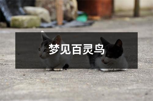 梦见百灵鸟