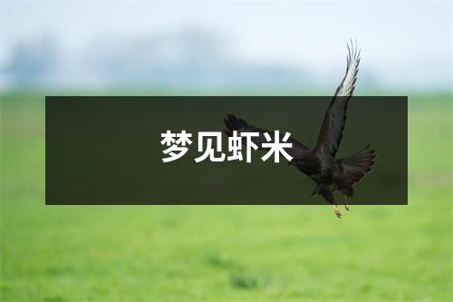 梦见虾米