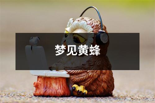 梦见黄蜂