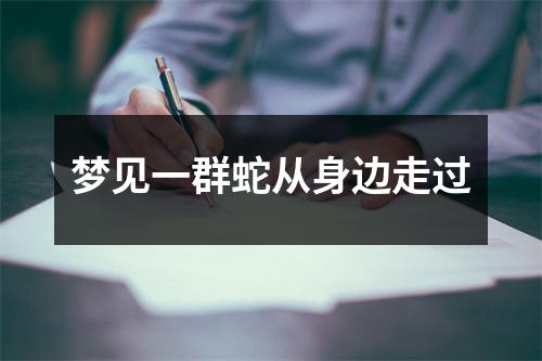 <h3>梦见一群蛇从身边走过