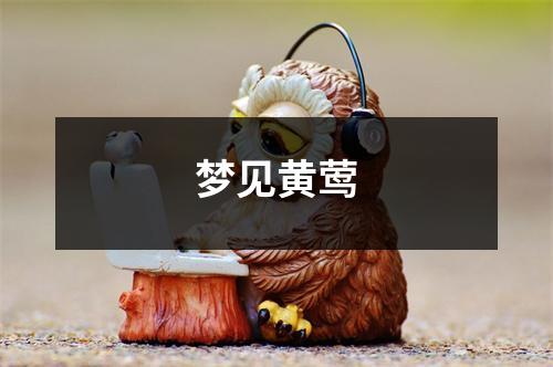 梦见黄莺