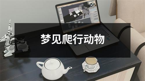梦见爬行动物