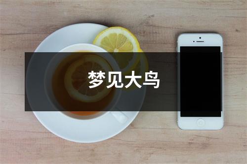梦见大鸟