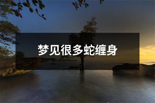 梦见很多蛇缠身
