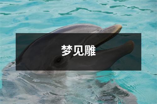 梦见雕
