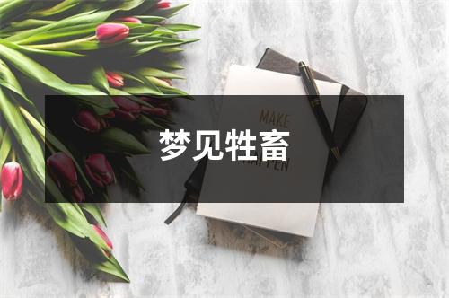 梦见牲畜