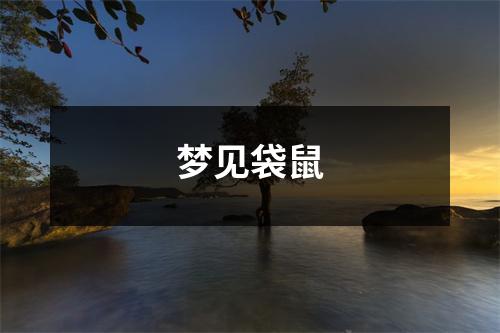 梦见袋鼠