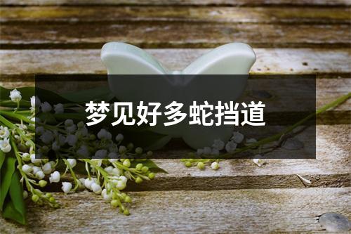 梦见好多蛇挡道