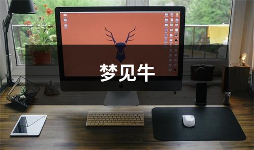 梦见牛