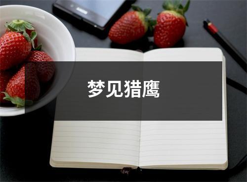 梦见猎鹰