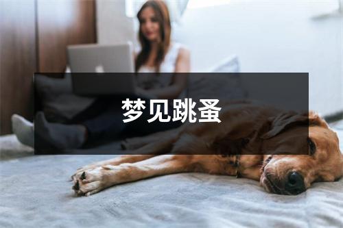 <h3>梦见跳蚤
