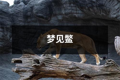 <h3>梦见鳖