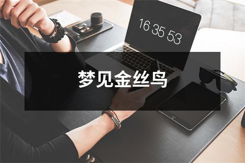 梦见金丝鸟