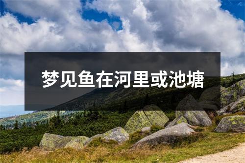 梦见鱼在河里或池塘