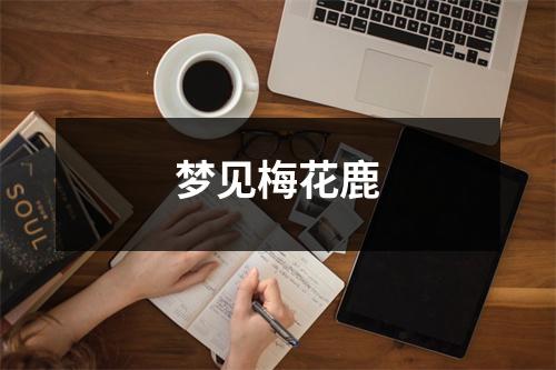 梦见梅花鹿