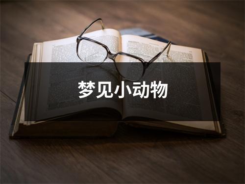 梦见小动物
