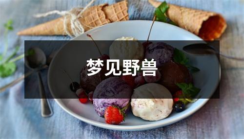 梦见野兽