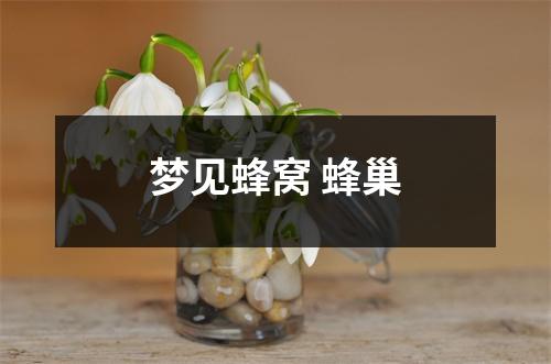 梦见蜂窝蜂巢