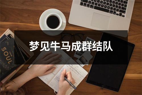 梦见牛马成群结队