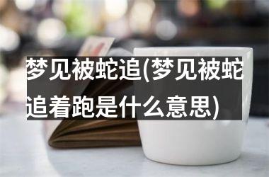 <h3>梦见被蛇追(梦见被蛇追着跑是什么意思)