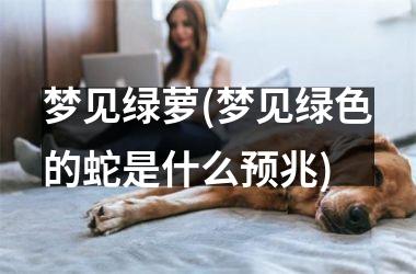 <h3>梦见绿萝(梦见绿色的蛇是什么预兆)