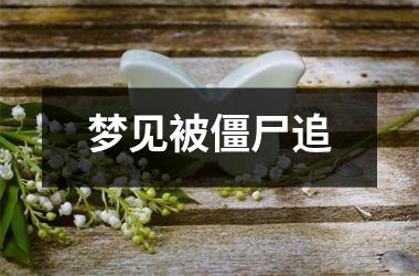 <h3>梦见被僵尸追