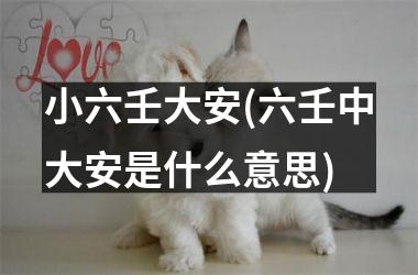 <h3>小六壬大安(六壬中大安是什么意思)