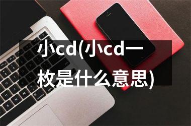 小cd(小cd一枚是什么意