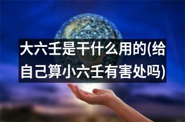 大六壬是干什么用的(给