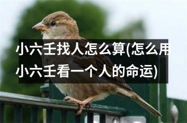 <h3>小六壬找人怎么算(怎么用小六壬看一个人的命运)