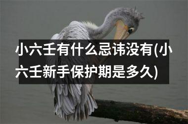 小六壬有什么忌讳没有(